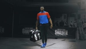 zion williamson basketball forever