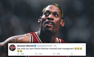 Dennis Rodman The Last Dance